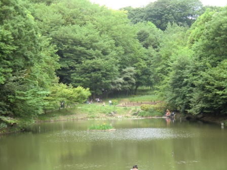大池の風景